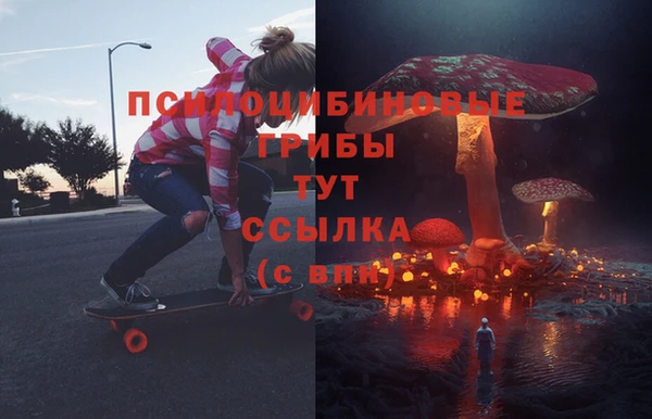дмт Касимов