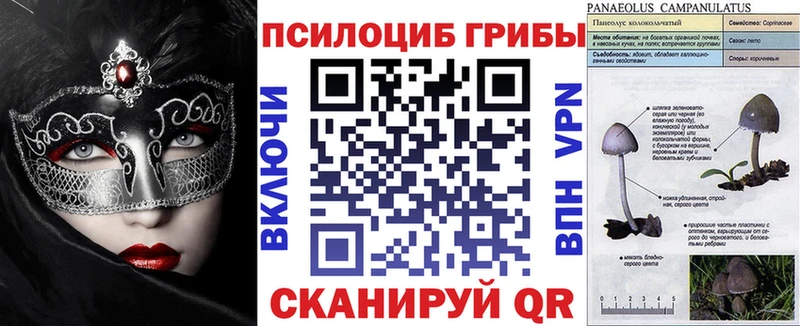Галлюциногенные грибы Magic Shrooms  Северодвинск 