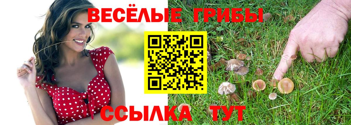 Псилоцибиновые грибы Magic Shrooms  Северодвинск 