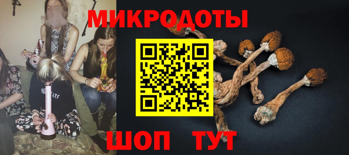 Галлюциногенные грибы GOLDEN TEACHER  Вход с VPN  магазин  наркотиков  Северодвинск 