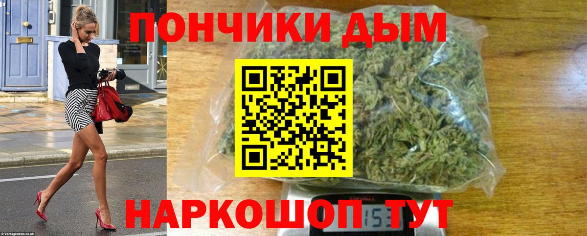 Шишки марихуана планчик Северодвинск